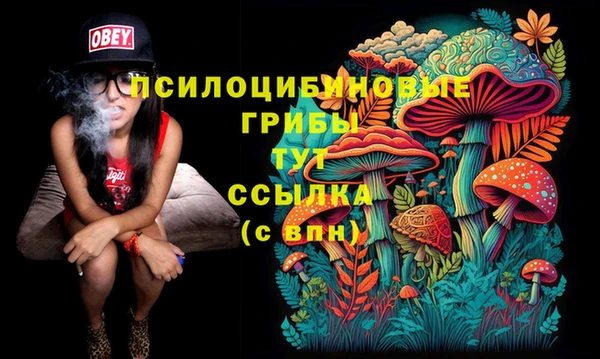ПСИЛОЦИБИНОВЫЕ ГРИБЫ Михайловск