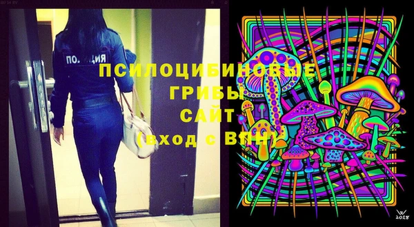 ПСИЛОЦИБИНОВЫЕ ГРИБЫ Михайловск
